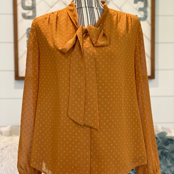 Chico's Tops - 𝙲𝚑𝚒𝚌𝚘𝚜 ll Neck Tie Swiss Dot Blouse